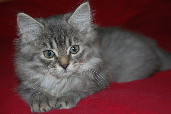 im neuen Zuhause.jpg